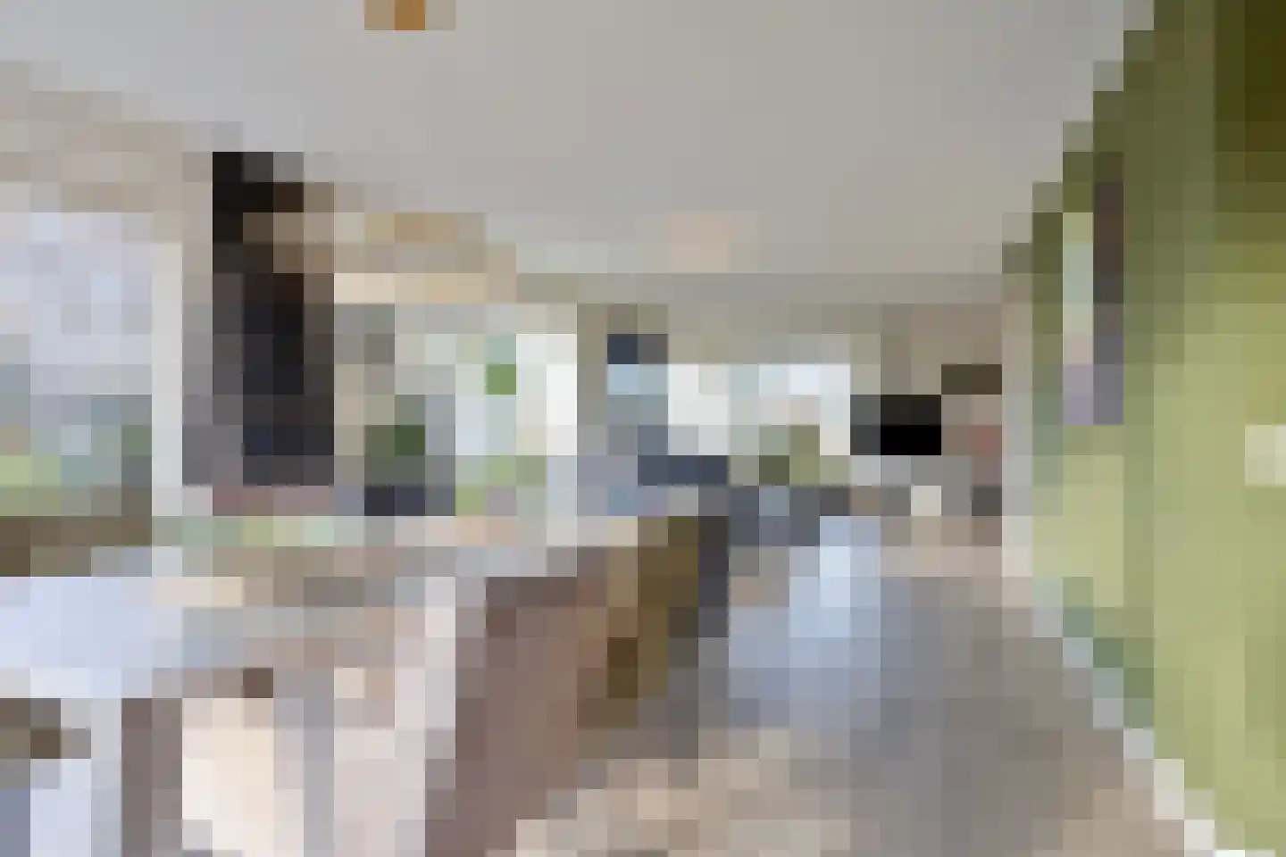 Weegbree 31 Grootegast thumbnail 17