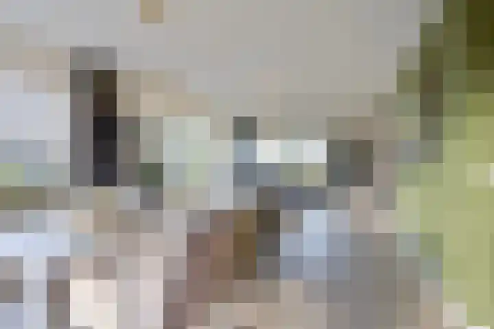 Weegbree 31 Grootegast thumbnail 17