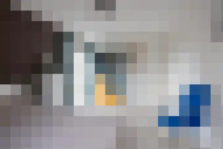 Weegbree 31 Grootegast thumbnail 32