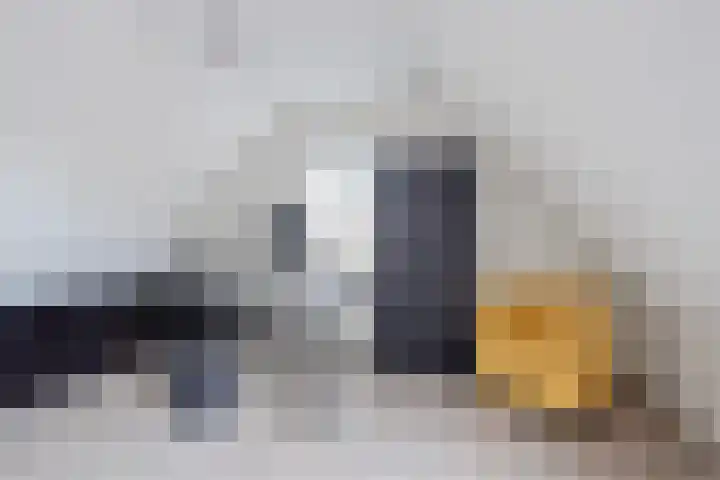 Weegbree 31 Grootegast thumbnail 38