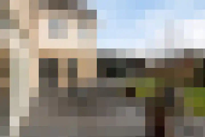 Weegbree 31 Grootegast thumbnail 41