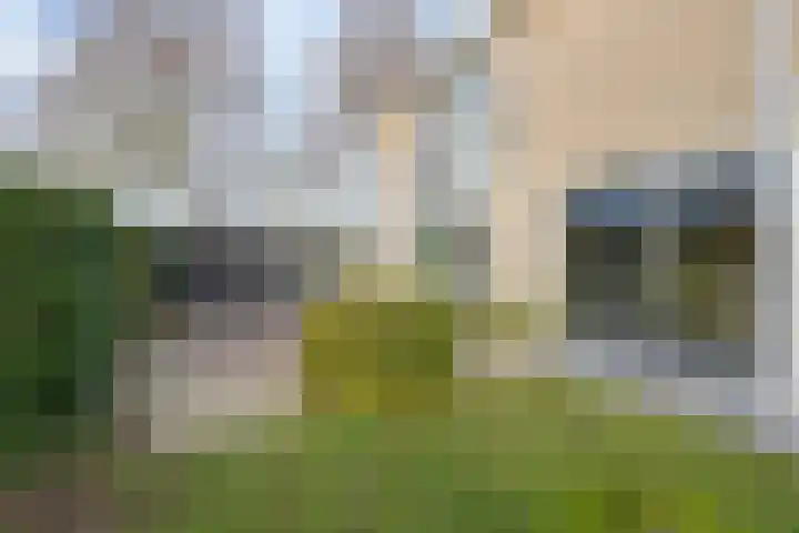 Weegbree 31 Grootegast thumbnail 46