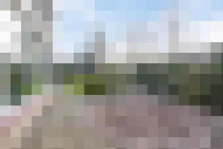 Weegbree 31 Grootegast thumbnail 47