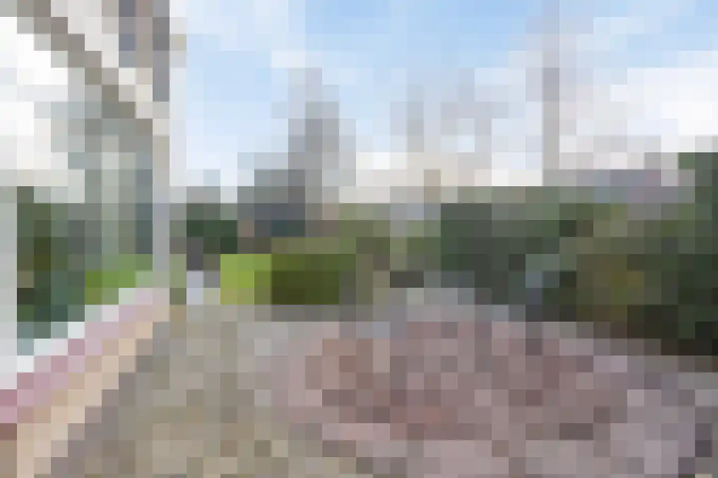 Weegbree 31 Grootegast thumbnail 47
