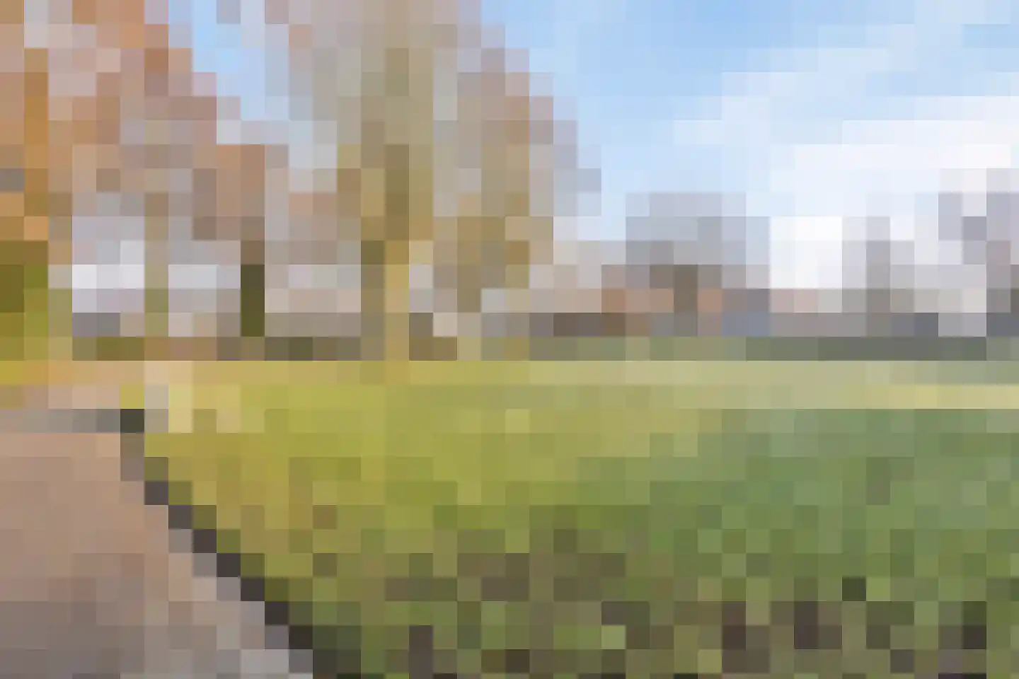 Weegbree 31 Grootegast thumbnail 49