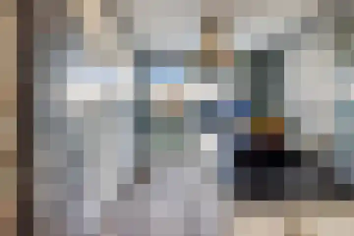 Weegbree 31 's-Hertogenbosch thumbnail 10