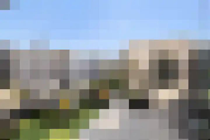 Weegbree 31 's-Hertogenbosch thumbnail 19