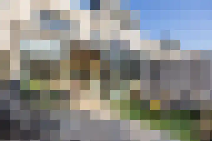 Weegbree 31 's-Hertogenbosch thumbnail 21