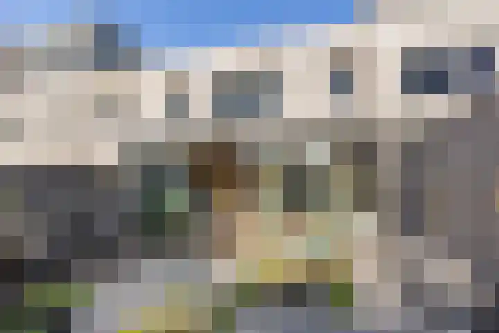 Weegbree 31 's-Hertogenbosch thumbnail 22