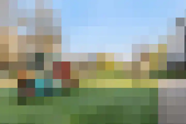 Weegbree 31 's-Hertogenbosch thumbnail 24