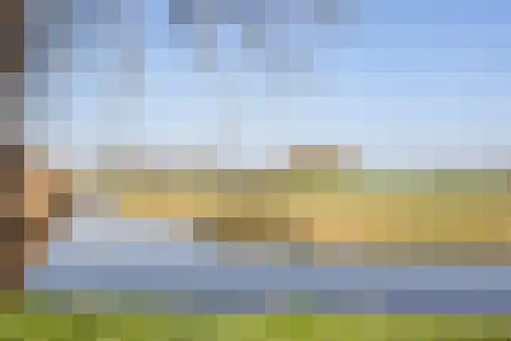 Weegbree 31 's-Hertogenbosch thumbnail 25