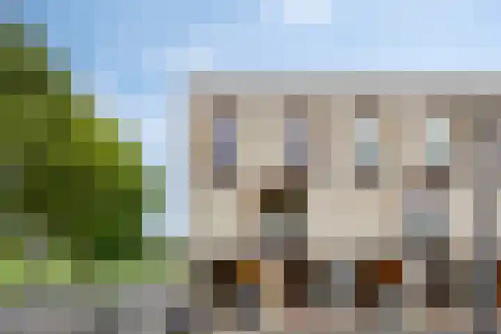 Weegbree 32 Heerhugowaard thumbnail 10