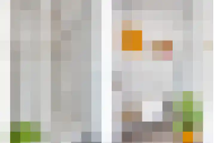 Weegbree 32 Heerhugowaard thumbnail 18