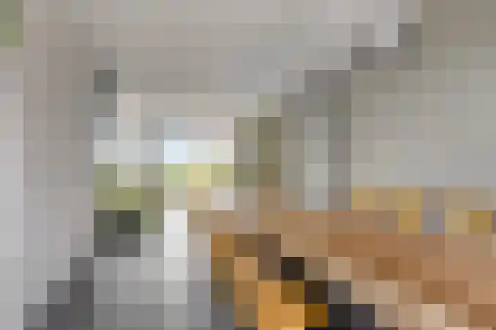 Weegbree 32 Heerhugowaard thumbnail 23