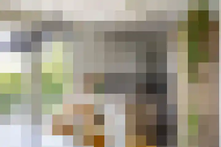 Weegbree 32 Heerhugowaard thumbnail 24