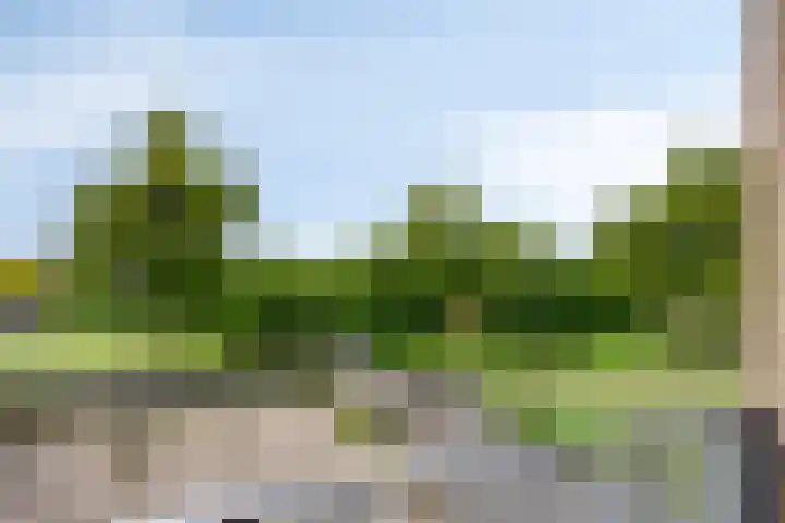 Weegbree 32 Heerhugowaard thumbnail 28