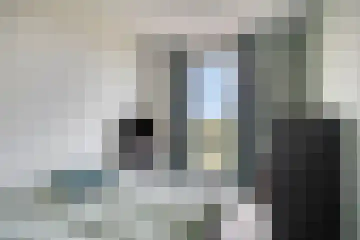 Weegbree 32 Heerhugowaard thumbnail 35