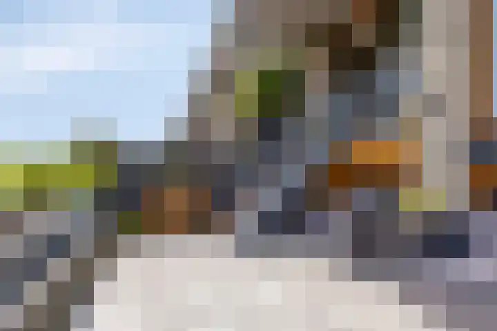 Weegbree 32 Heerhugowaard thumbnail 39