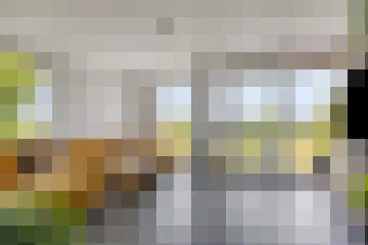Weegbree 32 Heerhugowaard thumbnail 4