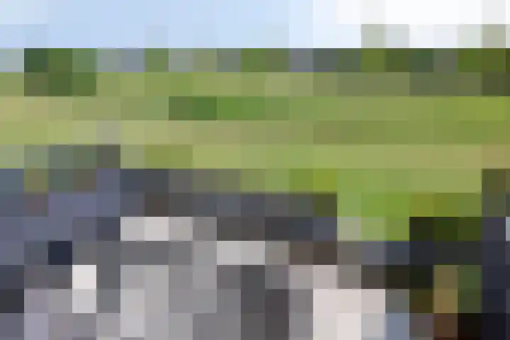 Weegbree 32 Heerhugowaard thumbnail 40