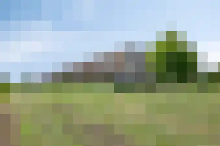 Weegbree 32 Heerhugowaard thumbnail 45