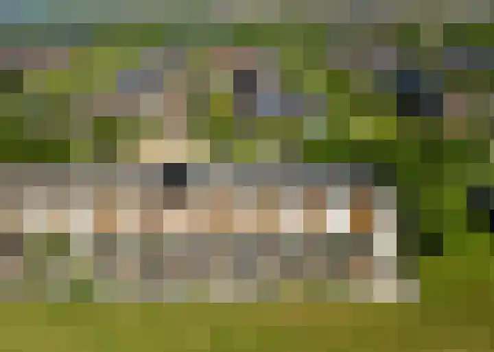 Weegbree 32 Heerhugowaard thumbnail 47