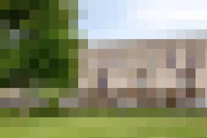 Weegbree 32 Heerhugowaard thumbnail 49