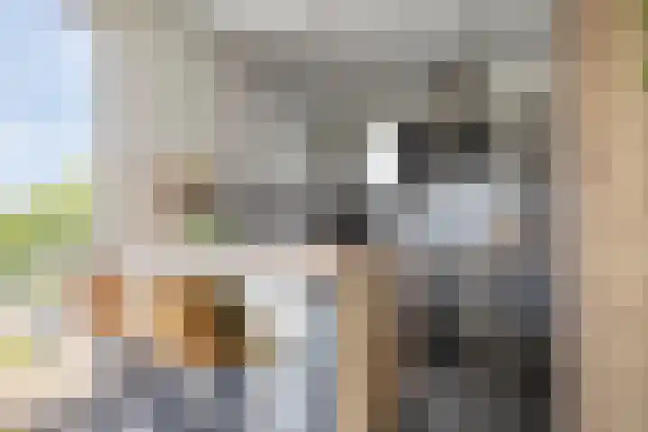 Weegbree 32 Heerhugowaard thumbnail 5