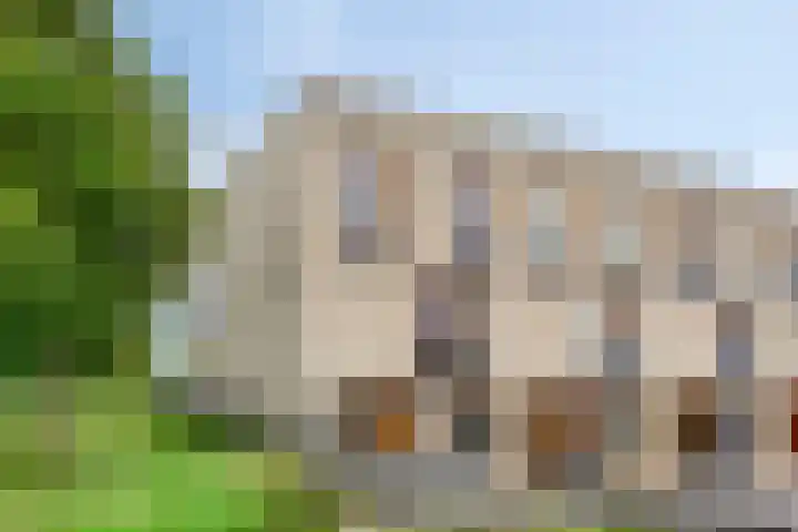 Weegbree 32 Heerhugowaard thumbnail 50