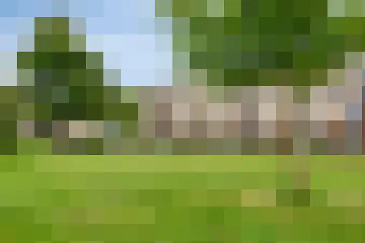 Weegbree 32 Heerhugowaard thumbnail 51