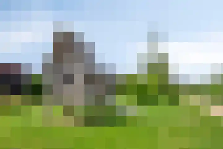 Weegbree 32 Heerhugowaard thumbnail 53