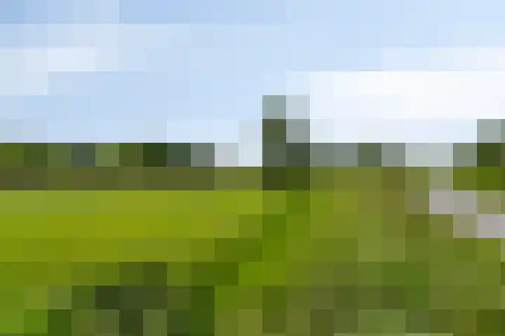 Weegbree 32 Heerhugowaard thumbnail 54