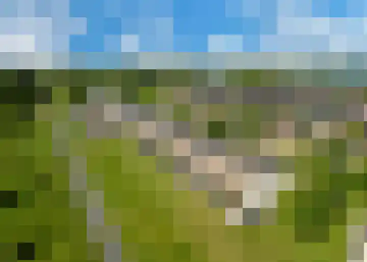 Weegbree 32 Heerhugowaard thumbnail 8
