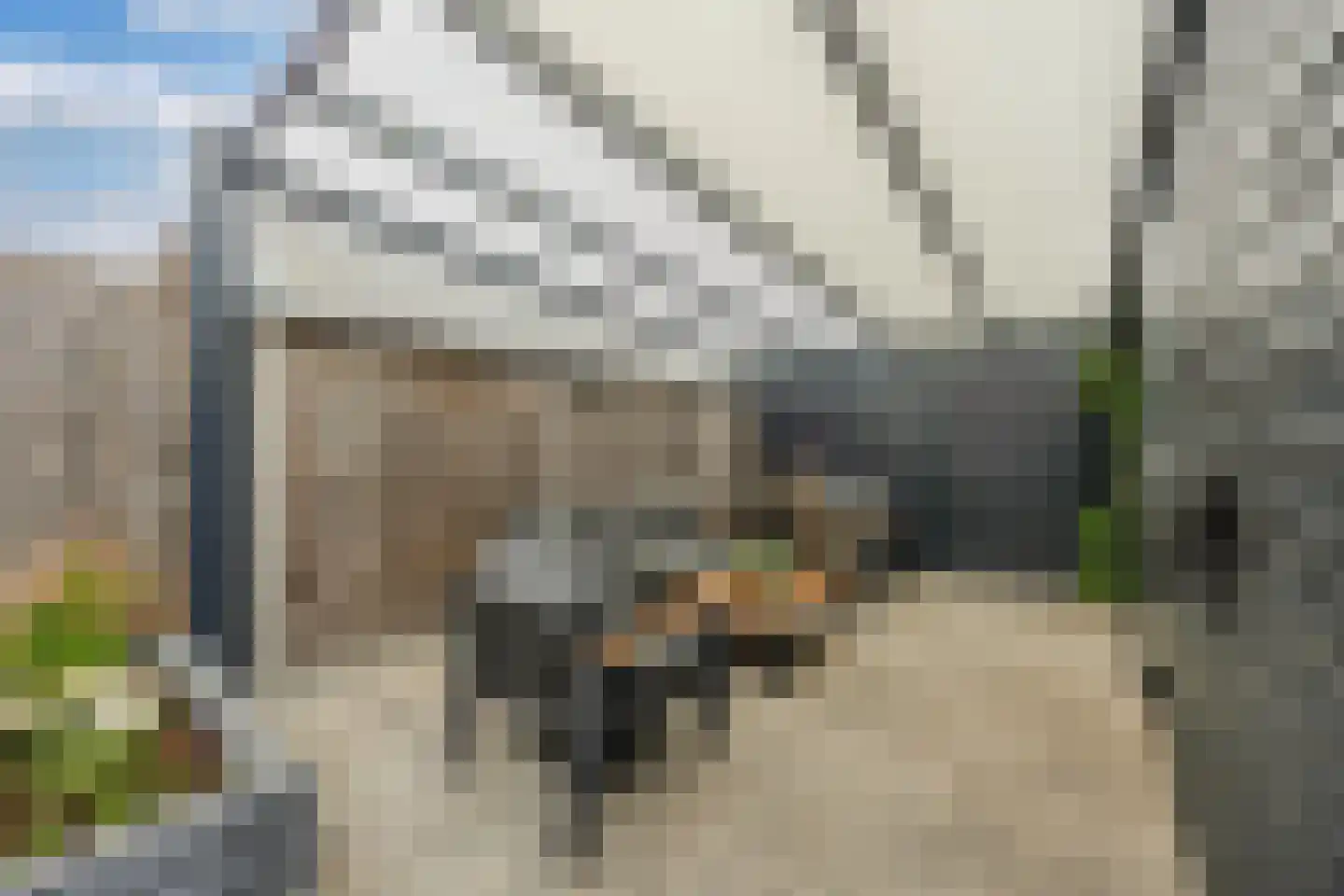 Weegbree 32 Lelystad thumbnail 40