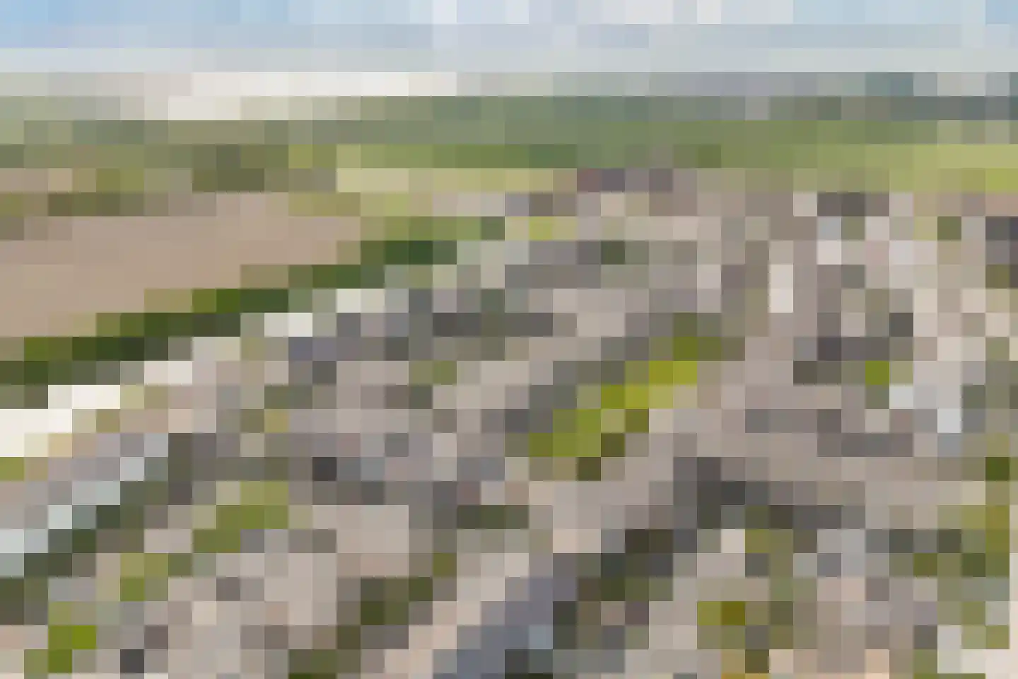 Weegbree 32 Lelystad thumbnail 52