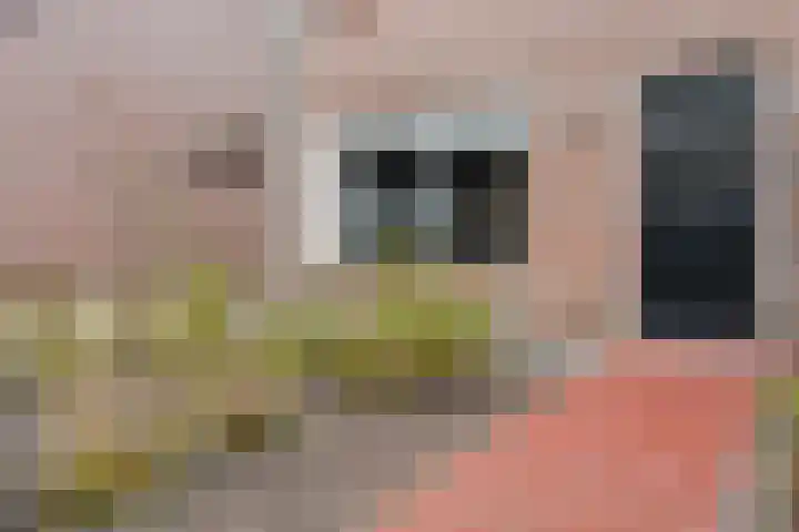 Weegbree 32 Nieuwleusen thumbnail 11