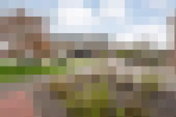 Weegbree 32 Nieuwleusen thumbnail 12