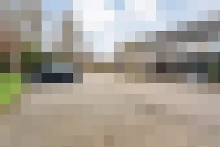 Weegbree 32 Nieuwleusen thumbnail 13