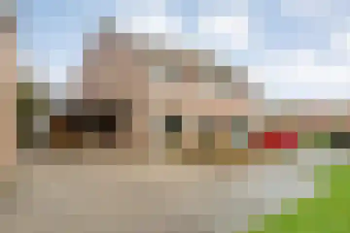 Weegbree 32 Nieuwleusen thumbnail 14