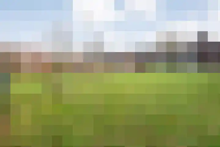 Weegbree 32 Nieuwleusen thumbnail 15
