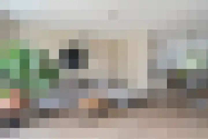 Weegbree 32 Nieuwleusen thumbnail 18