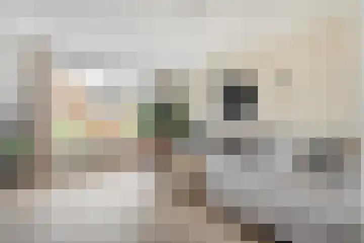 Weegbree 32 Nieuwleusen thumbnail 20