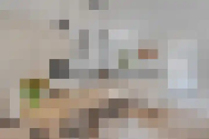 Weegbree 32 Nieuwleusen thumbnail 22