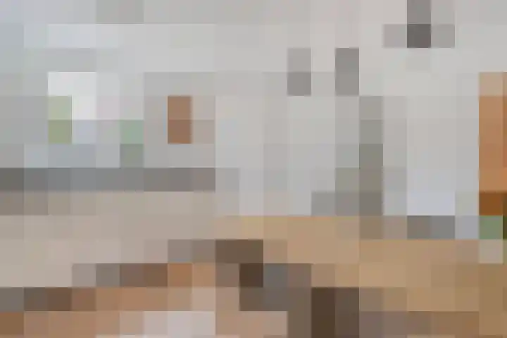 Weegbree 32 Nieuwleusen thumbnail 24