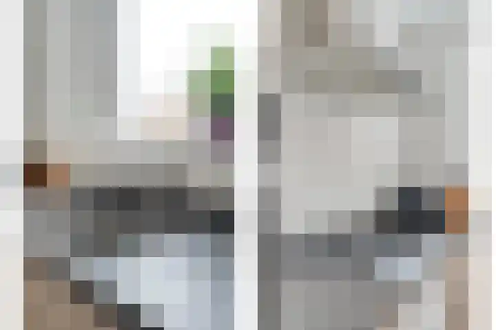 Weegbree 32 Nieuwleusen thumbnail 25