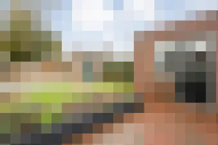 Weegbree 32 Nieuwleusen thumbnail 4