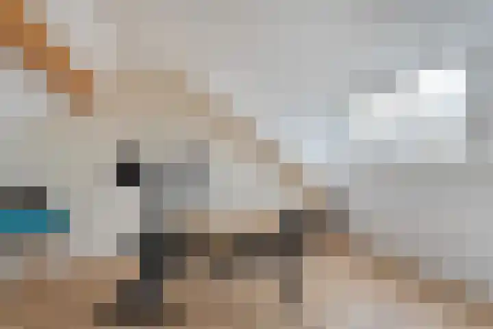 Weegbree 32 Nieuwleusen thumbnail 40