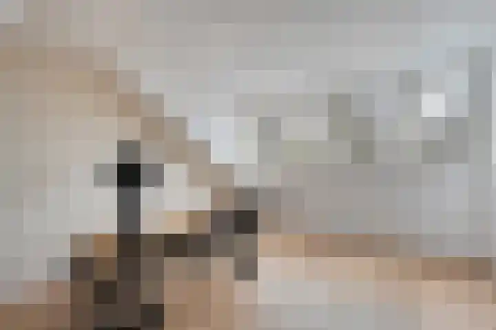 Weegbree 32 Nieuwleusen thumbnail 41