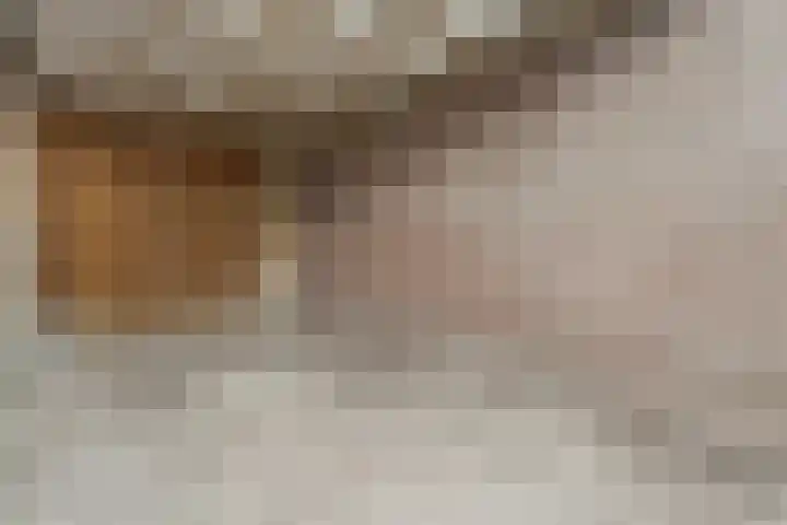 Weegbree 32 Nieuwleusen thumbnail 43