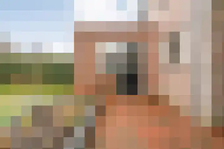 Weegbree 32 Nieuwleusen thumbnail 44